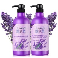 Shampoo Shower Gel Set Oil Control Antidandruff Moisturizing Lotion Factory Direct Lavender Family Pack